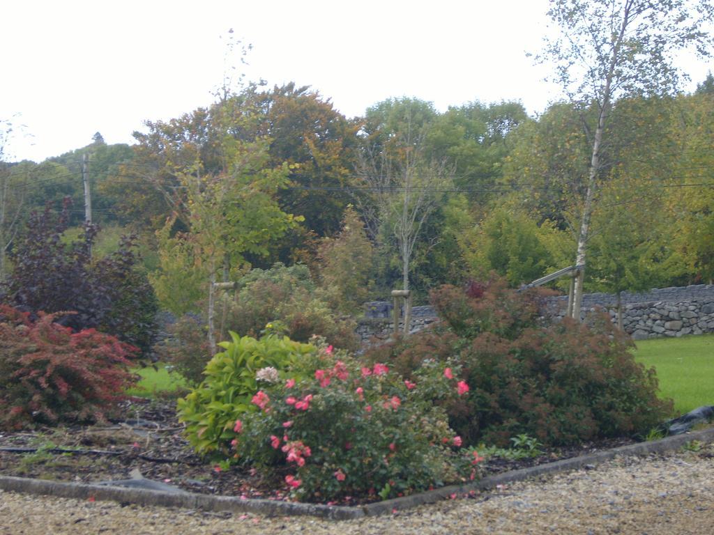 Ashford Haven B&B Cong Exteriér fotografie